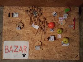 Soustředění Doksy 2019 2825