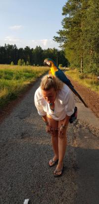 Soustředění Doksy 2022 4003