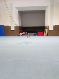 Memoriál Karla Hartiga 4454