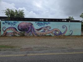 Soustředění Itálie 2025 4923