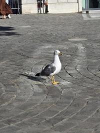 Soustředění Itálie 2025 4879